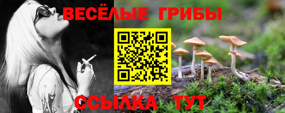 Сорочинск  Псилоцибиновые грибы MAGIC MUSHROOMS  Вход с VPN 